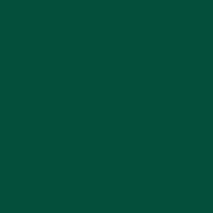 Краска PRIME COLOR резиновая PRO Изумрудная 10-11 арт.2,5