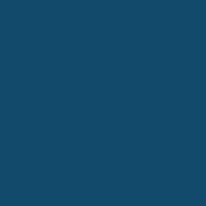 Краска PRIME COLOR резиновая PRO Синяя 10-09 арт.2,5