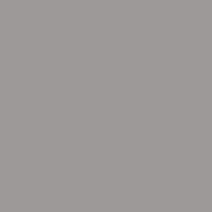 Краска PRIME COLOR резиновая PRO Светло-серая 10-06 арт.2,5