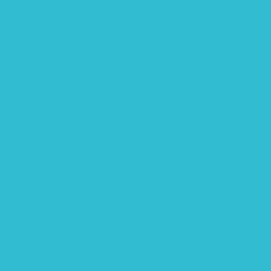 Краска PRIME COLOR резиновая PRO Голубая 10-08 арт.2,5