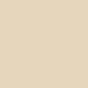 Краска PRIME COLOR резиновая PRO Бежевая 10-03 арт.10